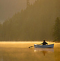 Morning mist on the lake